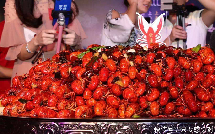 十万小龙虾围攻水坝,中国网友:一个龙虾节就