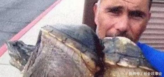 男子钓鱼时,发现 葫芦 形乌龟,仔细一看,令他感