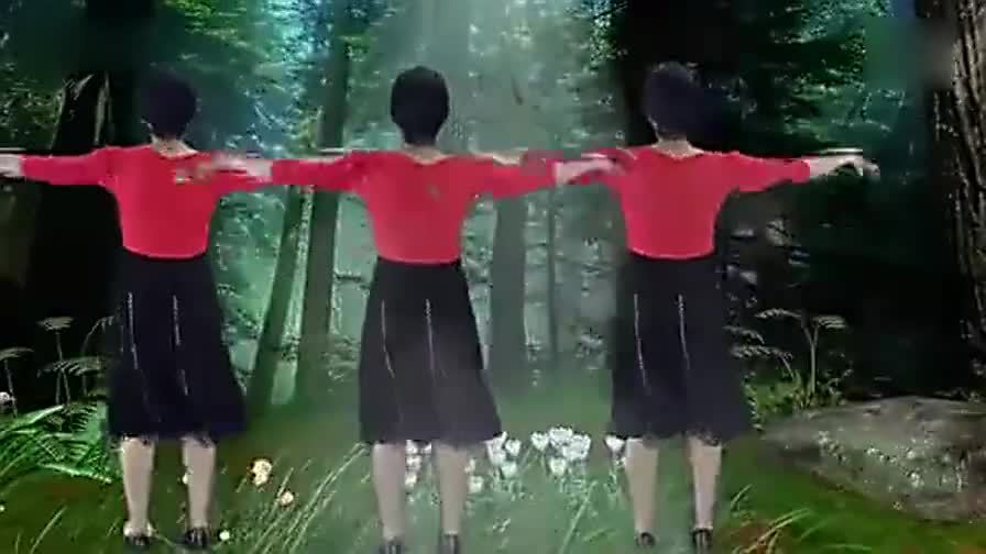 广场舞-《花蝴蝶》