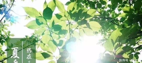 三伏天,中年人谨记不吃“三饭”、不睡“三觉”,能帮你平安过夏,具体都指什么 fg电子游艺