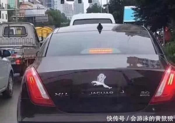 中国车主太会玩车标了,奔驰、宝马都躺枪,最被