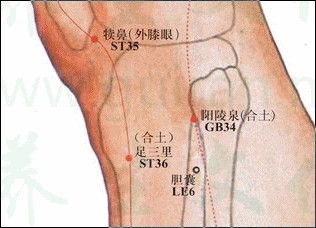 人体的曲池,足三里,外关,阳陵泉,绝骨穴位在哪