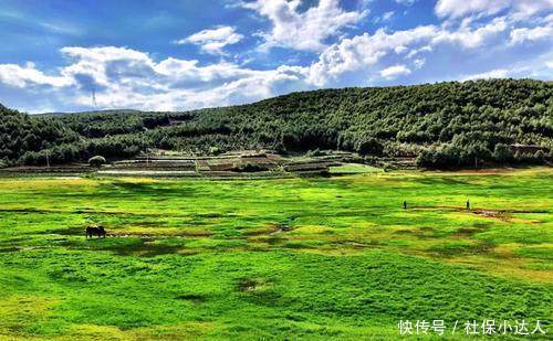 社会保障卡密码