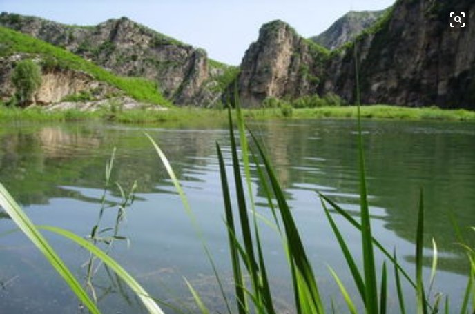 六岁男孩掉进沟里,爬起来手上沾满蛆,多年后发