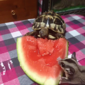 �������¸߶ȵĶ�B��(d��ng)�������