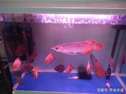 內(nèi)江水族館指點(diǎn)指點(diǎn)