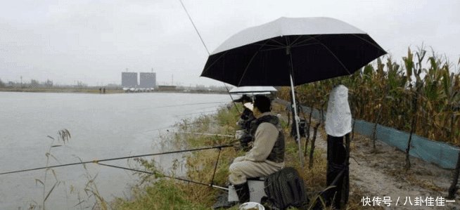 男子花35元去钓鱼, 傻坐了一天却只得了一条鱼, 老板看到后脸都绿了 网上澳门赌场网址