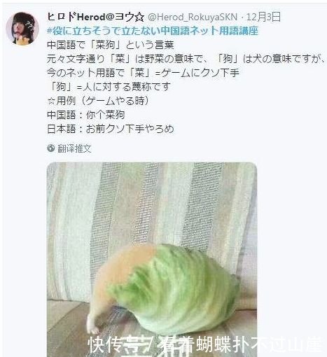 中国表情表情被翻译成日文,黑线看完都惊到网友带沙雕包的图片