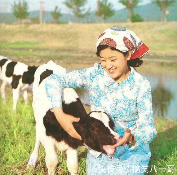 一组上世纪70年代,朝鲜妇女工作生活的老照片
