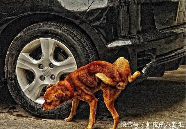 扎钉子算什么这几点才是真正的轮胎杀手 玛雅娱乐手机官方网站
