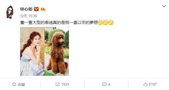 林心如新造型酷似泰迪,晒对比照回应:一直想养