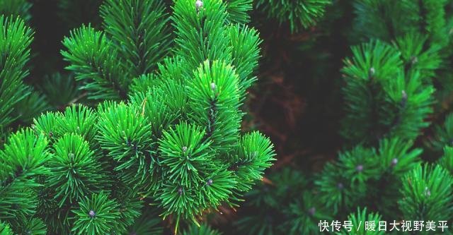 新三板挂牌条件