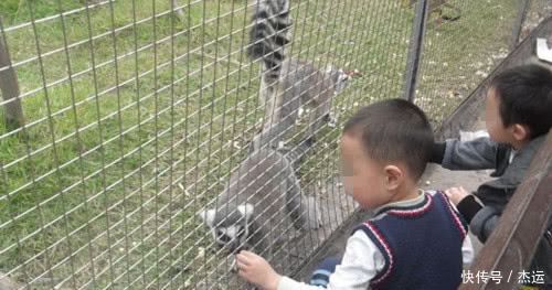 7岁男孩在动物园偷吃喂动物的饼干我想尝尝零
