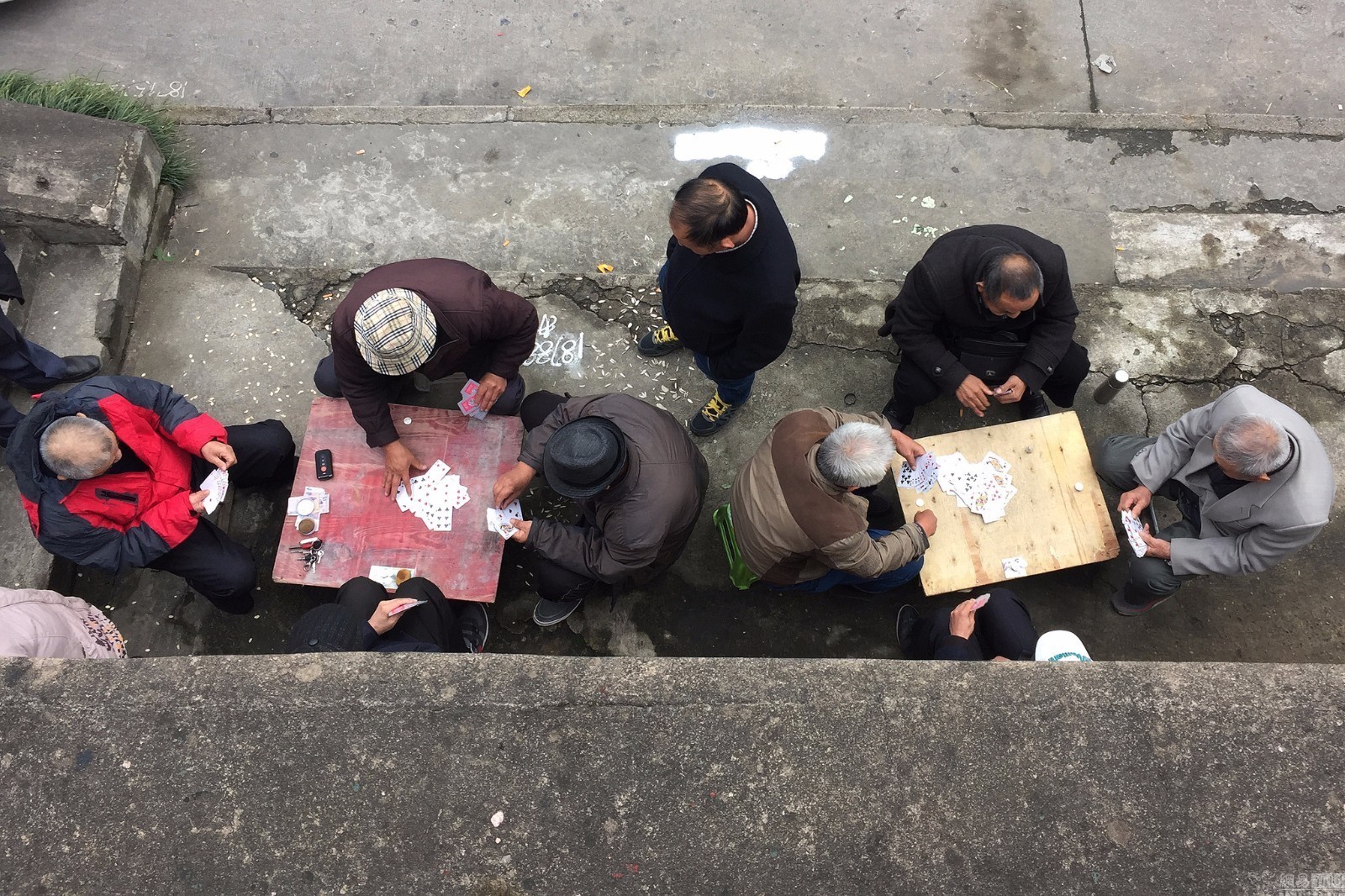 合肥立交桥底成赌窝,每天近百人聚众赌博,附近