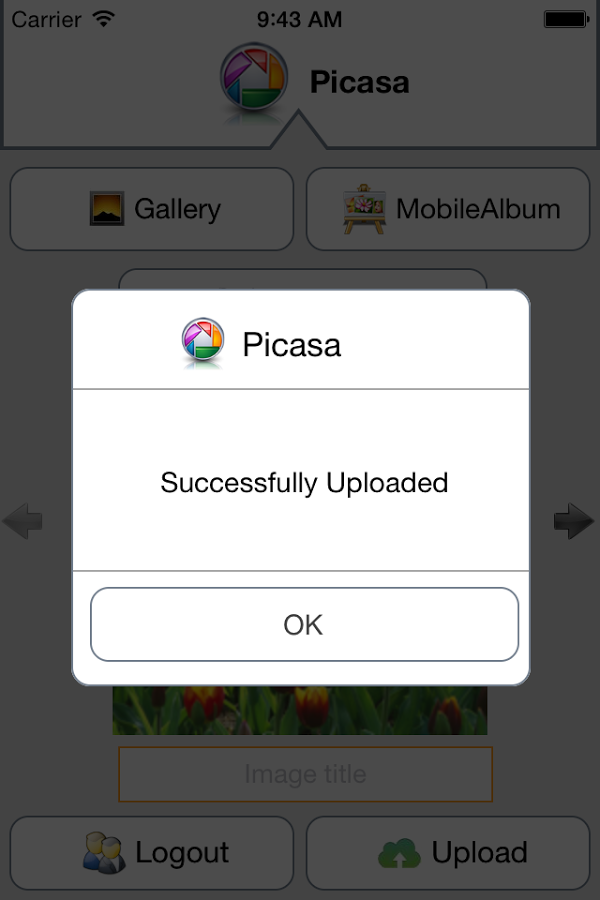 Smart Browser For Picasa截图16