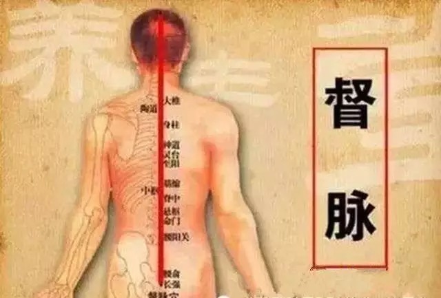 具体来说,督脉重要性有两点