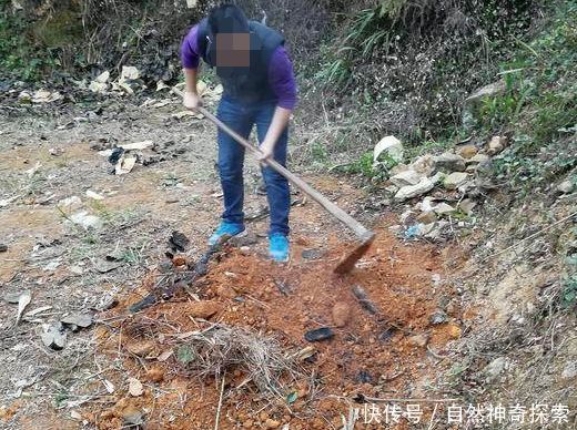 农村大哥地里做大餐，路人直呼太浪费，这样的机会很难得！