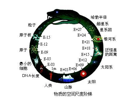 宇宙就像一条蛇，头部代表最大的宇宙，尾巴代表最小的粒子