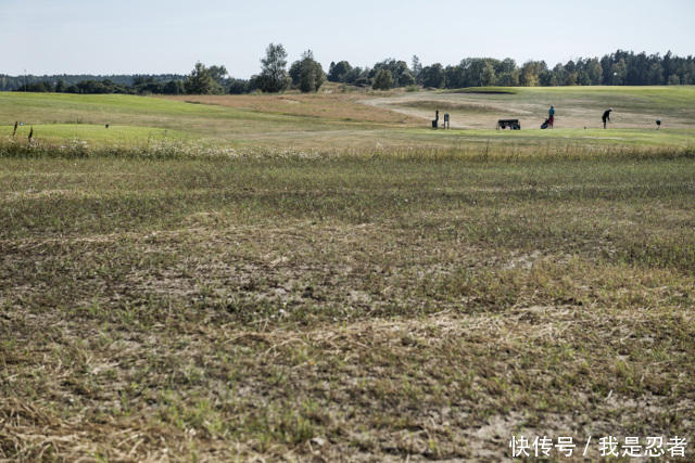 年来最严重旱灾!热浪+干旱+野火,燃烧的瑞典向