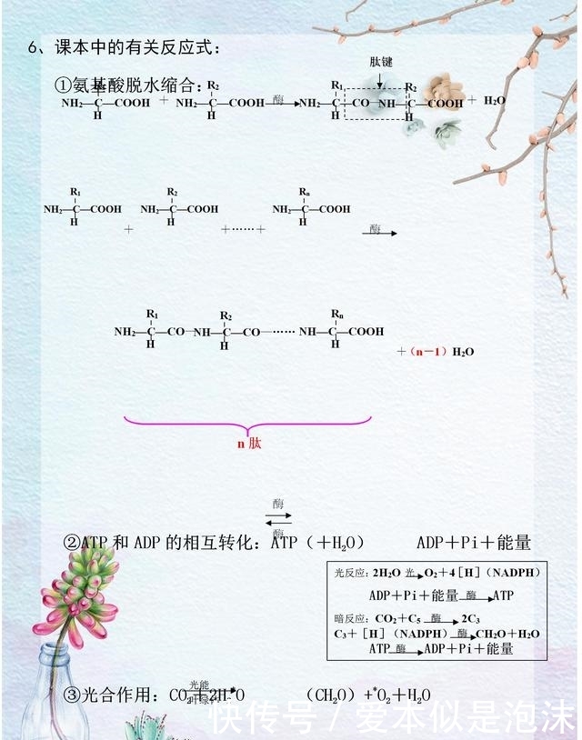 高中高中重要考点归纳,3年必考生物,学校考10东乡县考点生物图片