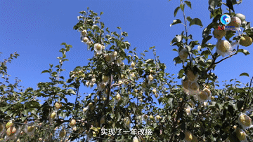 t011bffc5ddf21491d6.gif?size=360x203