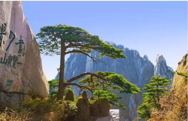 放假啦!寒假适合带孩子去哪里旅游?