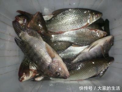 几个小伙伴夜钓,听到婴儿哭声,吓得赶紧跑,事后