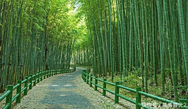 成熟不是表现多少成就,而是能容纳多少不喜欢