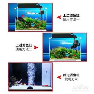 襄樊魚缸售后維護(hù)電話號碼 其他品牌魚缸