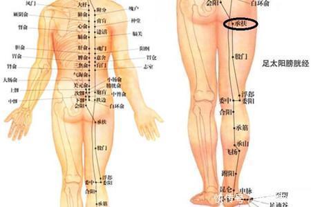 大腿穴位图大放送 按准位置瘦腿不是梦
