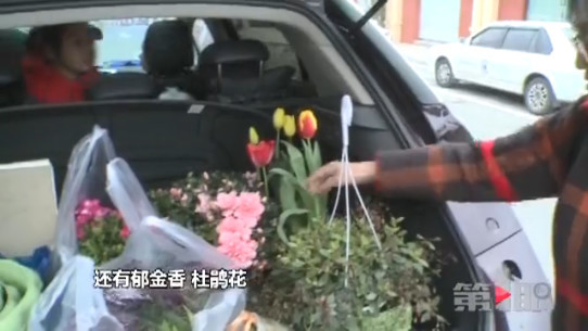 买鲜花过年成时尚 繁花盛景年味浓浓