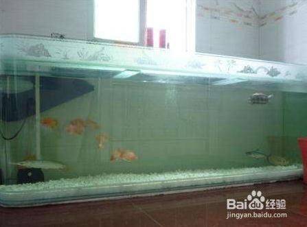 長治市城區(qū)魚樂世界水族館（長治市城區(qū)魚樂世界水族館電話） 全國水族館企業(yè)名錄