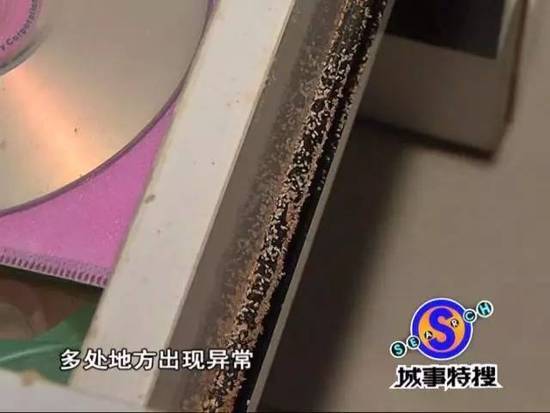 吓人!广州一豪宅被白蚁侵袭 女主人不敢回家 - 天地人 - 天地人和 吓人!广州一豪宅被白蚁侵袭 女主人不敢回家 - 天地人 - 天地人和