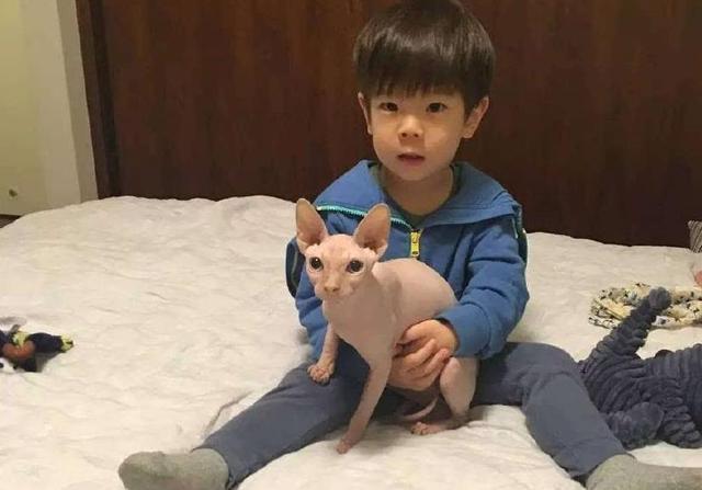 明星养宠物朱一龙养蚂蚁,罗志祥养野猪,杨颖养