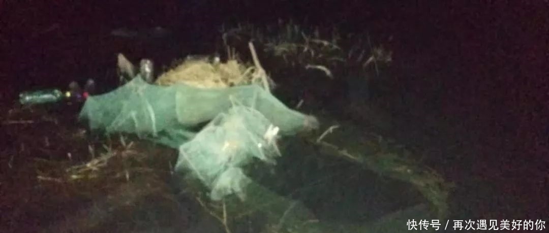 t0123871caf5905646c.jpg?size=1080x459