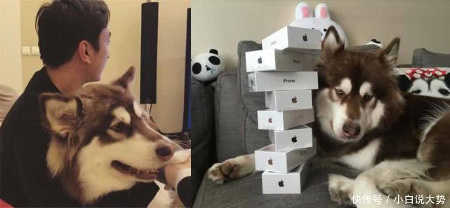 限高令和失信人区别