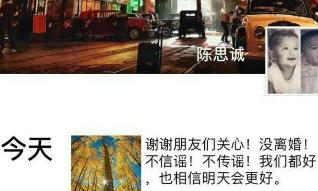 陈思诚出轨后首次回应,打破佟丽娅离婚传闻,林