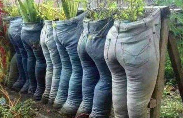美国女子用废弃牛仔裤种花, 邻居见到之后, 悄悄