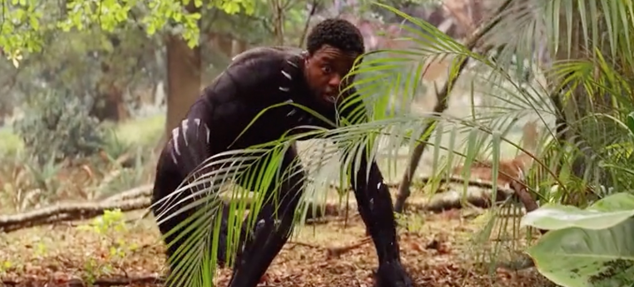 《复联4》即将上映,在《复联》3中阵亡的英雄