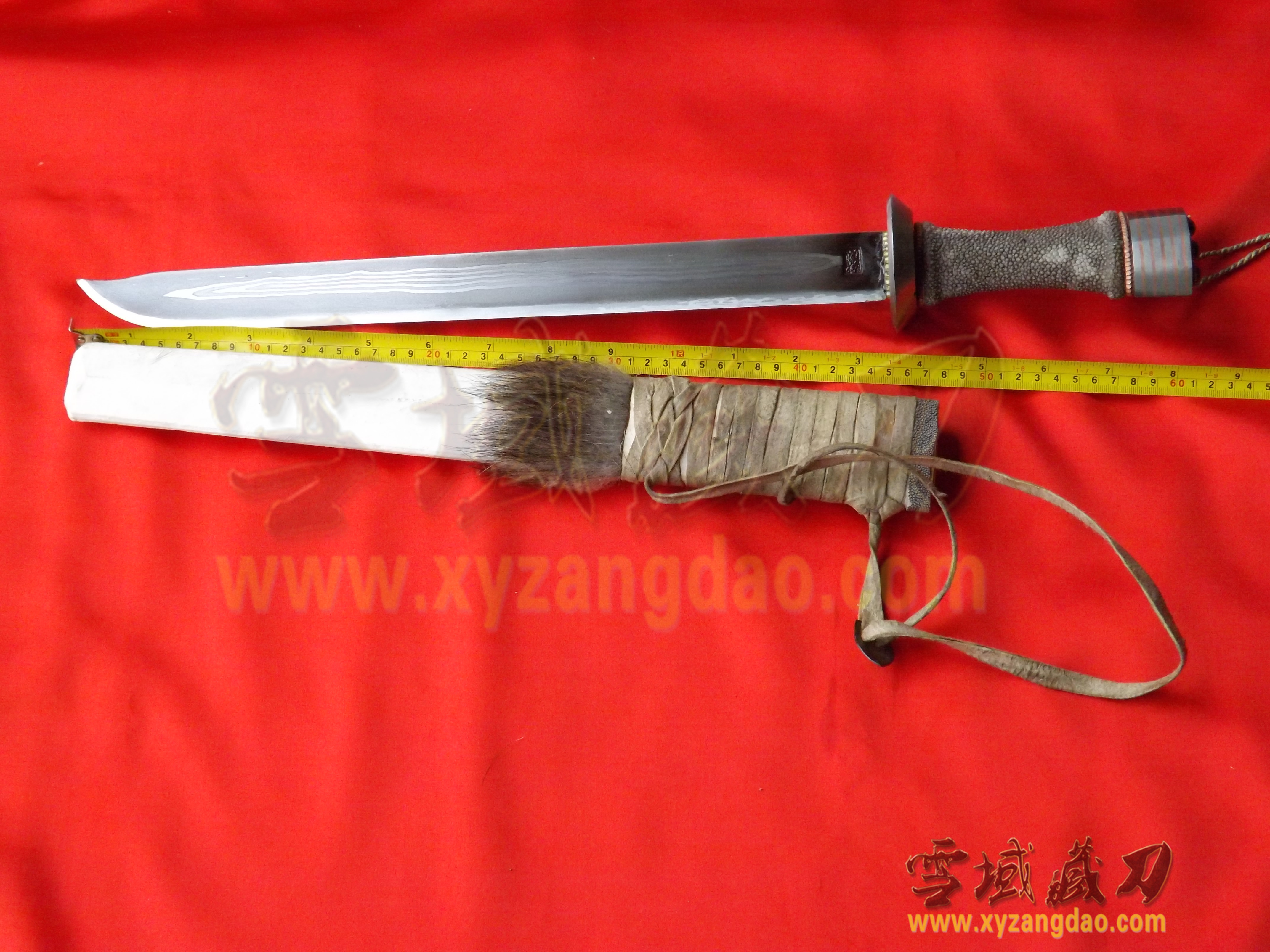本站提供的最新排行榜资料来自于网络,仅供娱乐 ...