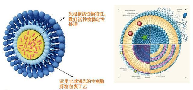 多柔比星脂质体