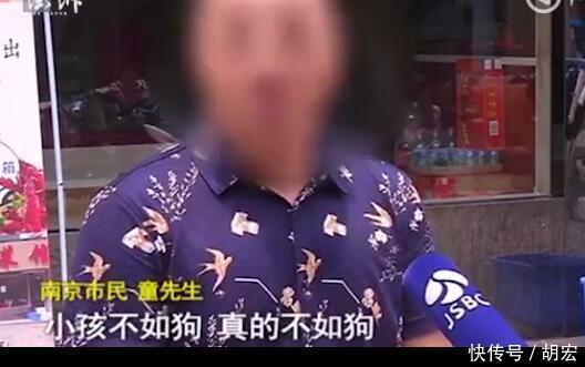 2岁儿子被咬父亲摔死泰迪犬,爱狗人士发死亡威