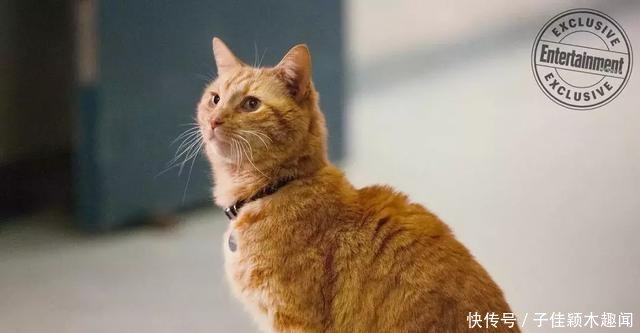 《惊奇队长》彩蛋太少这些有趣的细节你肯定没