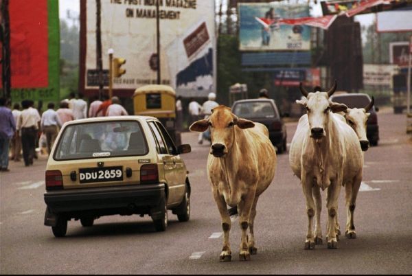 印度女子为了隐瞒生孩子的真相,将刚出生的男
