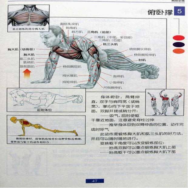 总的来说,锻炼肌肉除了有一个科学的适合自己的健身计划以外,在饮食营养上面还有很多学问。 一、健身计划 我们做任何事情都不能盲目地去做,必须有一个科学有效的计划。健身锻炼也一样,在开始锻炼之前,我们要有一个属于自己的健身计划,并且狠狠地按照健身计划的内容执行下去。为什么说要有一个属于自己的健身计划呢? 因为每个人的身体状况都不一样,不能按照常规的制定好的计划去执行,它不适用于每个人。比如,你在网上看到一个健身计划表,上面有一条是:50个仰卧起坐,每天5组。显然,这样的计划很多人根本做不下来,这个时候你就需要