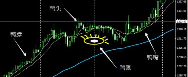 裴瑞:黄金出现老鸭头，做多