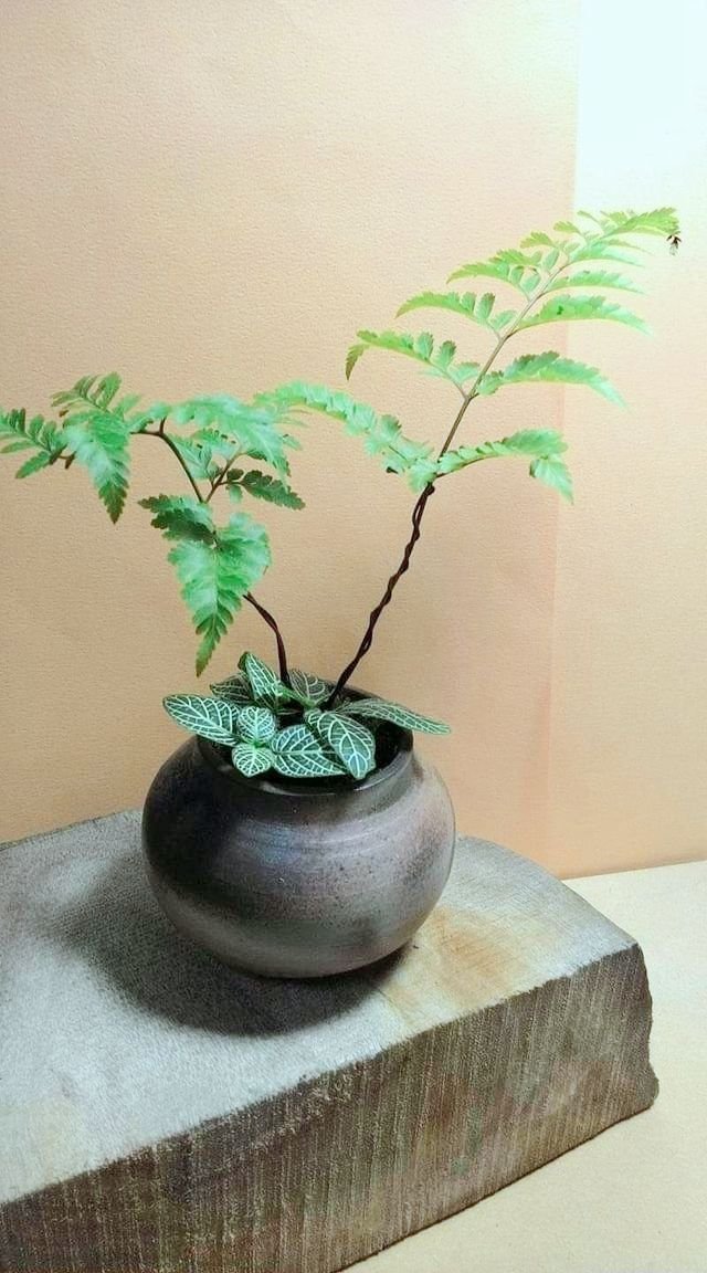 时隔一年,滴滴顺风车终于要回来了! 顺风车已开