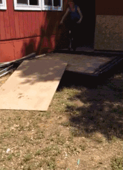 最新一期内涵爆笑动图 两位美女,你们在舔什么?