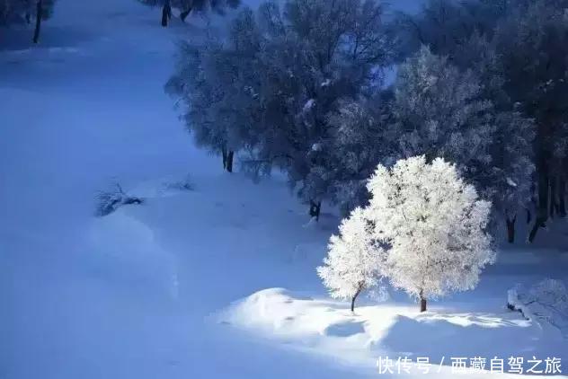 巩乃斯大草原，天山深处的“伊甸园”，一年四季都美得惊人！