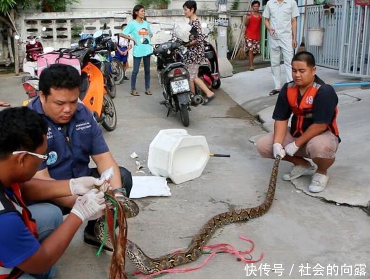 上个厕所瞬间感觉下面凉凉的，随后就拨打了急救电话